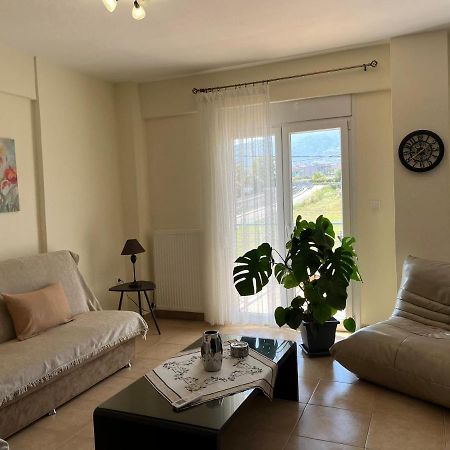 Olympian Two Floor Apartment Leptokaria Zewnętrze zdjęcie