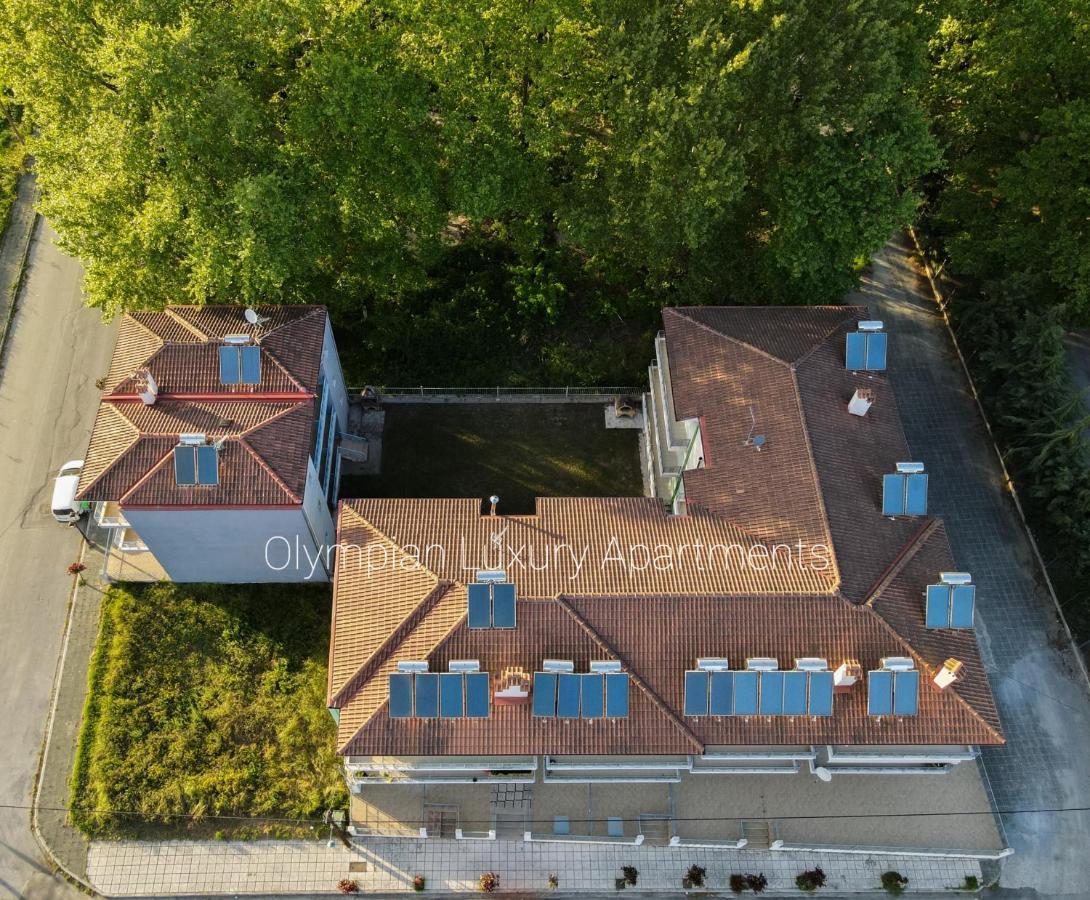 Olympian Two Floor Apartment Leptokaria Zewnętrze zdjęcie