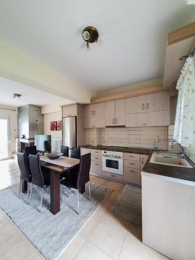 Olympian Two Floor Apartment Leptokaria Zewnętrze zdjęcie