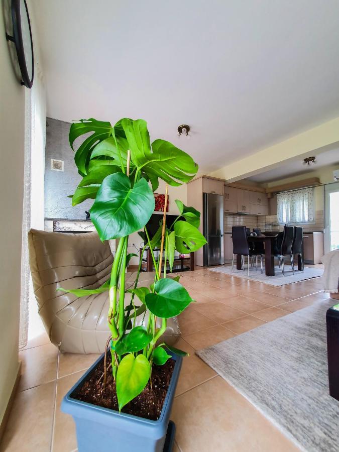 Olympian Two Floor Apartment Leptokaria Zewnętrze zdjęcie